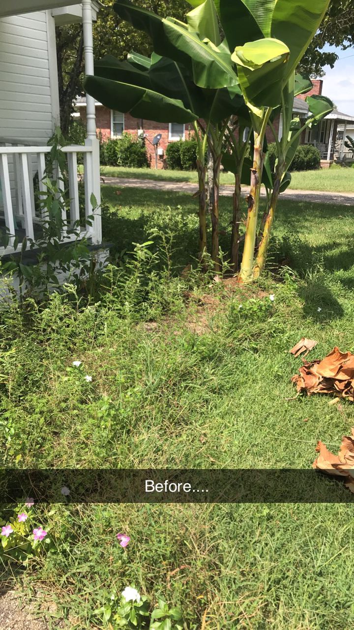 Flower Beds - Before