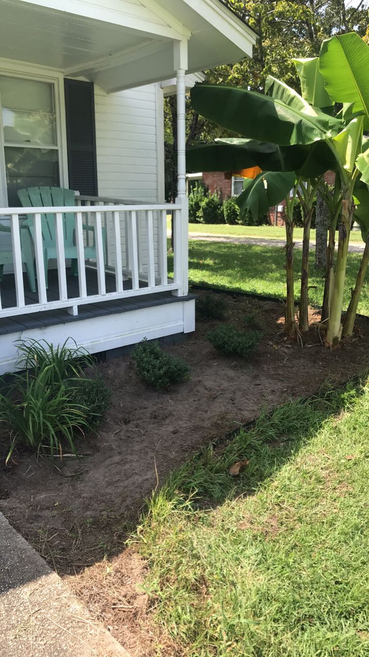 Flower Beds - During