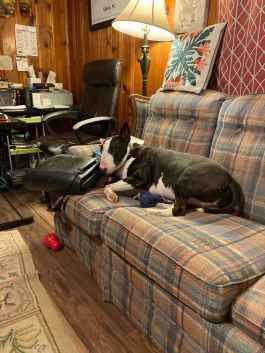 My Patient, Neglected Assistant