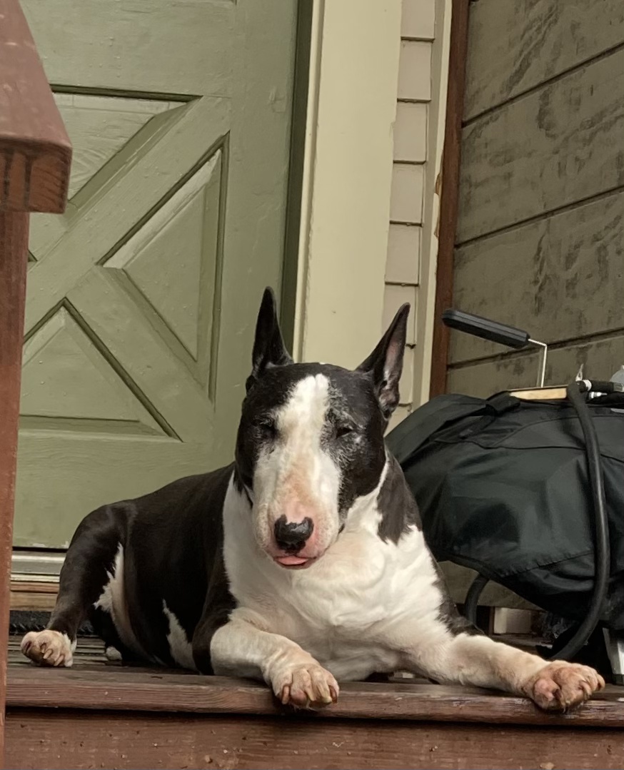 20240704_224927931_iOS