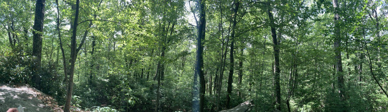 Panoramic View of Lookout - FNP
