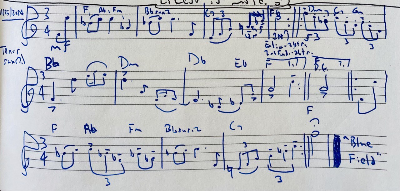 Blue Field Original Manuscript